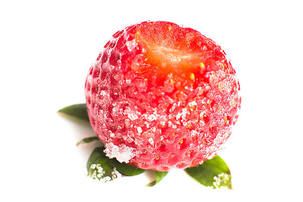 Strawberry stock photo