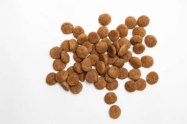 pile of dry pet food,isolated on gray