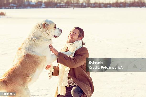 Man And Central Asian Shepherd Walk In The Park Stock Photo - Download Image Now - 2015, Activity, Adult