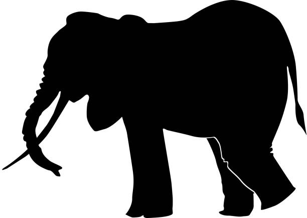 象 - elephant animal isolated white background点のイラスト素材／クリップアート素材／マンガ素材／アイコン素材