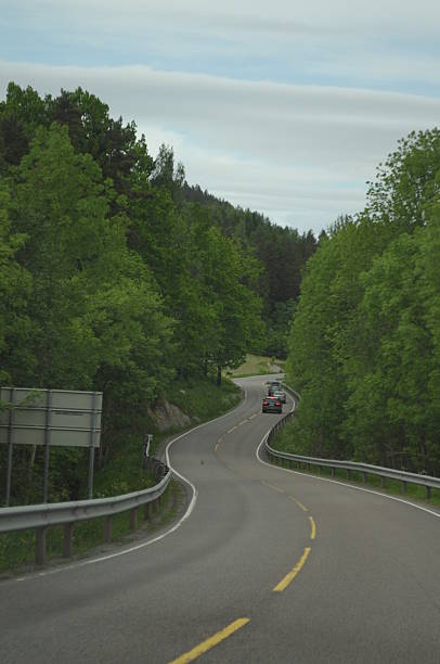 istock winding s road a summer day surrounded by trees 466648526