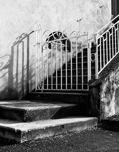 istock Gate and shadow, Provence, France 466654760