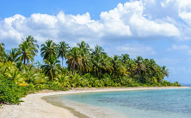 xxxl: caribe tropical praia - bocas del toro imagens e fotografias de stock