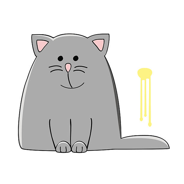 cat spray cute grey cat sitting near the yellow pee spot on the wall vector illustration grey hair on floor stock illustrations