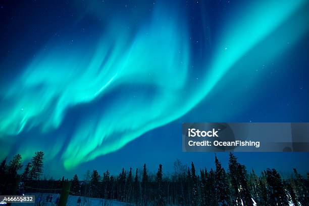 Northern Lights Stream Across The Arctic Sky Near Yellowknife Stock Photo - Download Image Now