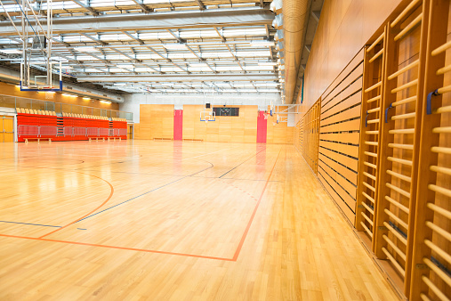 School gymnasium with metal roof, basketball backboards, wall bars, red stands, daylight from roof windows. Nikon D800, full frame, XXXL.