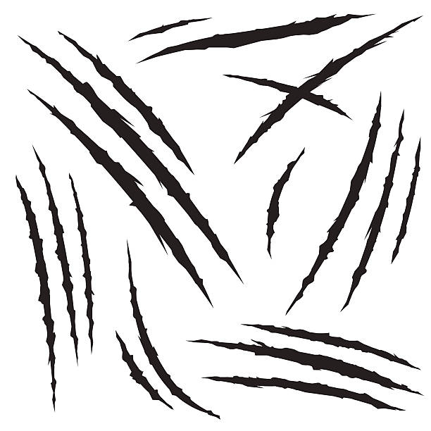 stockillustraties, clipart, cartoons en iconen met monster claw hole scratches set - litteken