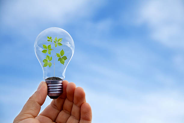 istock Hand with lamp and plant 466656622