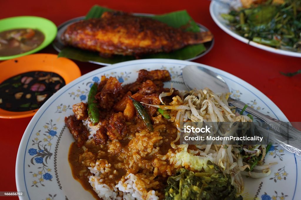 Spicy Malaysian Food Delicious, spicy Malaysian food. 2015 Stock Photo