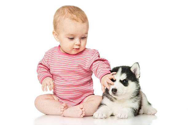 istock Little girl playing with a puppy 466656850