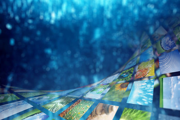 istock Collage of images background 466657320