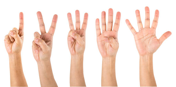 contare le mani da uno a cinque - one two three four foto e immagini stock