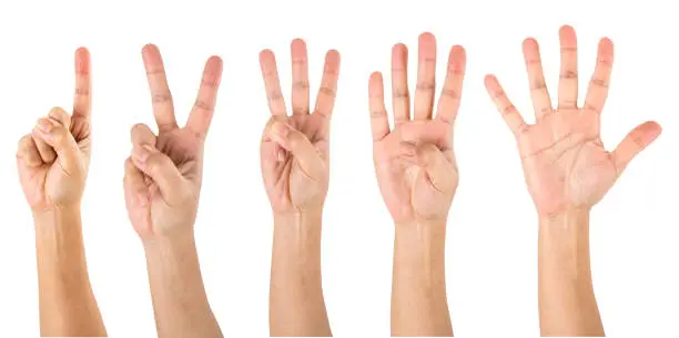 Photo of Counting Hands from one to five