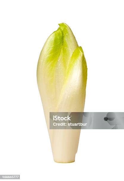Chicory With A Clipping Path Stock Photo - Download Image Now - White Color, Chicory, Clipping Path