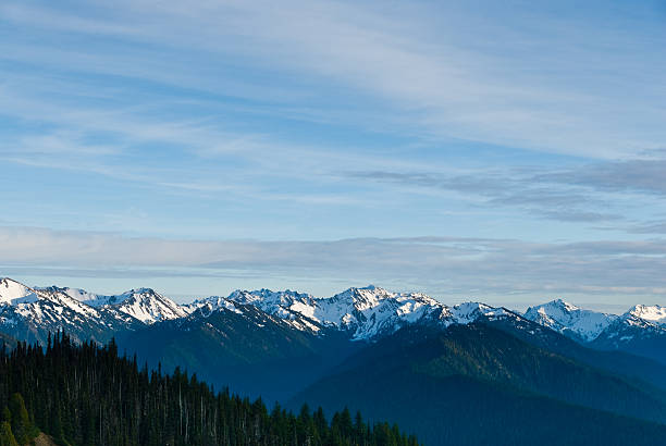 Olympic Range at Dusk Olympic National Park, located in the north-west corner of Washington State, is the most diverse national park in the USA. The central core of the park has high glaciated mountains and alpine meadows. Surrounding this central region are old growth and temperate rain forests. The park also protects over 70 miles of Pacific Coast wilderness. This view of the Olympic Range interior was taken from Hurricane Ridge. jeff goulden mountain stock pictures, royalty-free photos & images