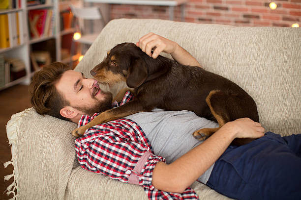 istock Young man at home with his dog. 466666472