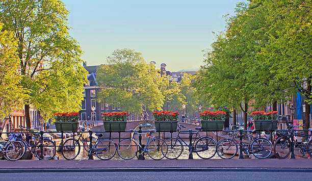 istock Amsterdam city landscape 466667358