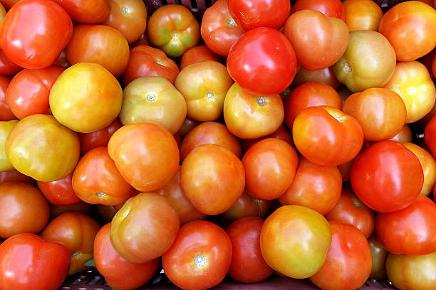 panier de tomates fraîches - moving up fruit close to togetherness photos et images de collection