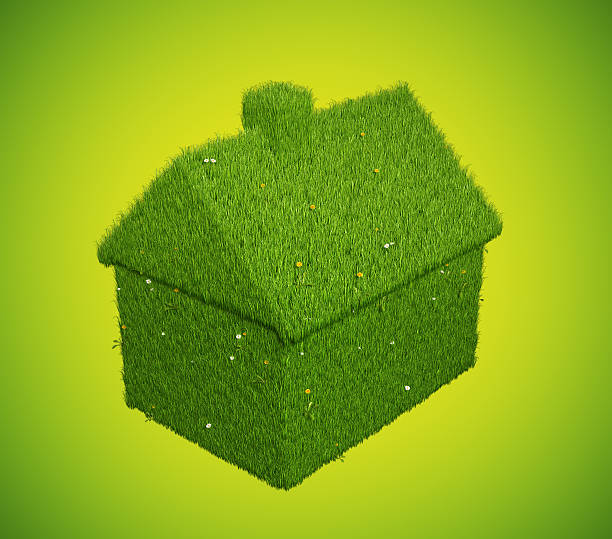 House made from Grass stock photo