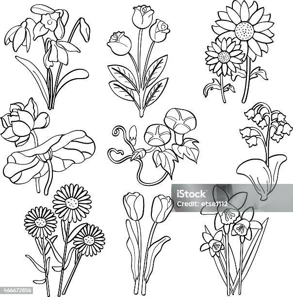 Flowers Stock Illustration - Download Image Now - Flower, Sunflower, Line Art