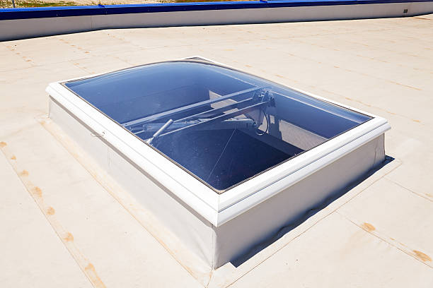 istock flat roof on industrial hall 466673690