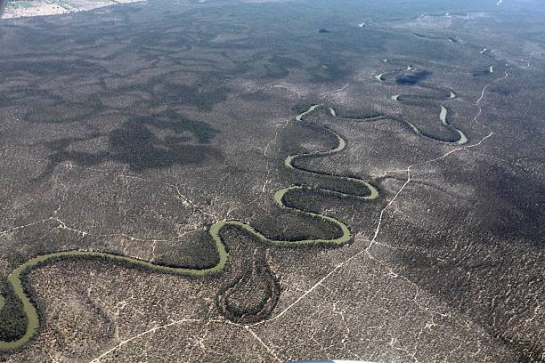 The Murray River seen from the air The Murray River, the border between Victoria ad New South Wales in Australia, wends its way through eucalyptus forest - seen from the air. murray darling basin stock pictures, royalty-free photos & images