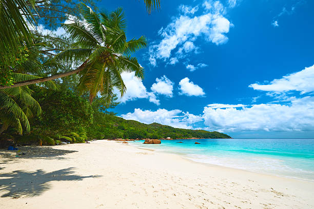 istock Beautiful beach at Seychelles 466676210