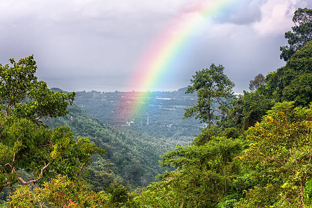 istock Beautiful landscape with a rainbow in the sky 466677342