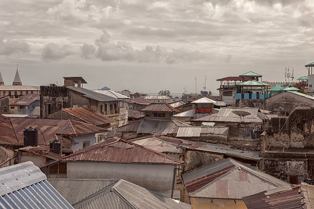 屋根の zanzibar 街 - tegole ストックフォトと画像