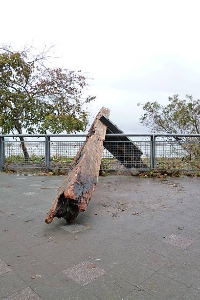 rio east park nova iorque pós hurrican sandy grande resíduos - hurrican imagens e fotografias de stock