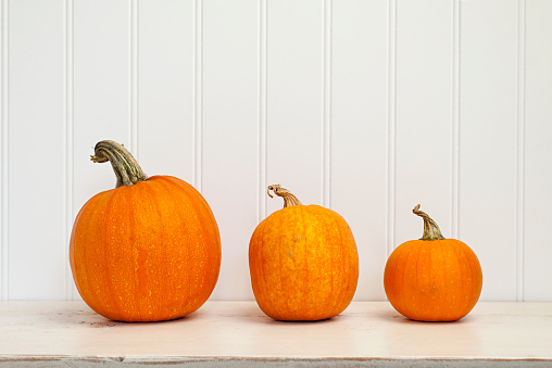 Three pumpkins of various sizes sitting in a row on white wooden background