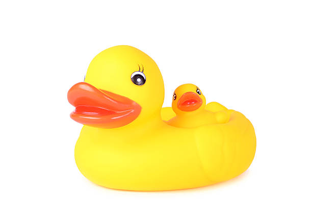 istock Plastic duck family on white background 466688562
