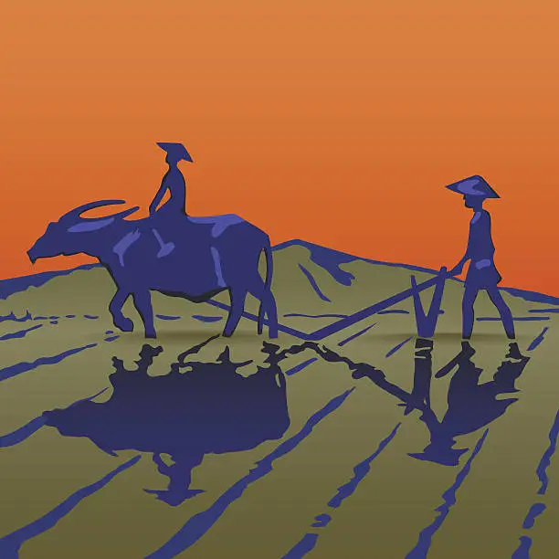 Vector illustration of Asian peasants work on a rice plantation