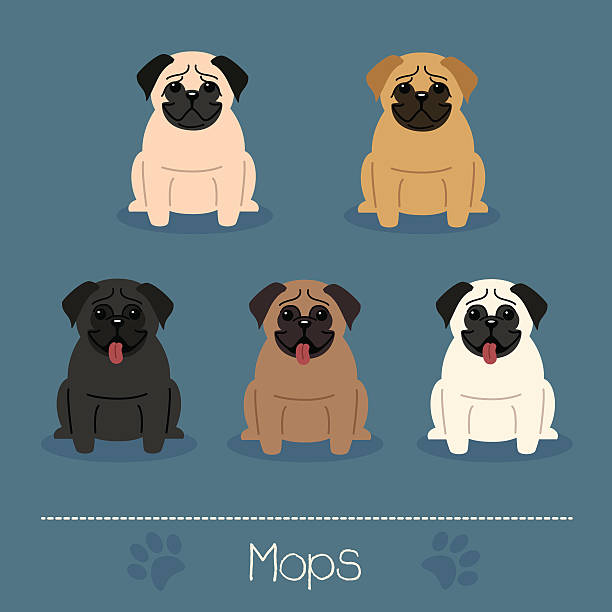 Different colors Mops vector art illustration