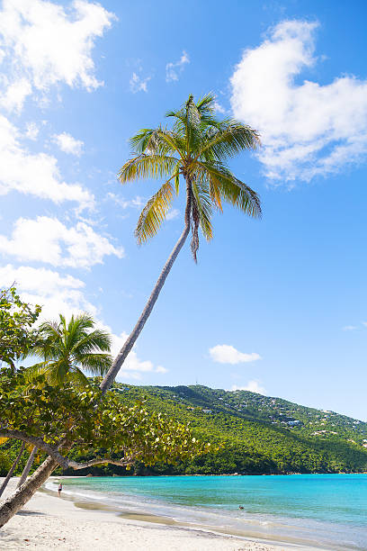 istock Magens Bay beach on St Thomas Island, US VI. 466696480