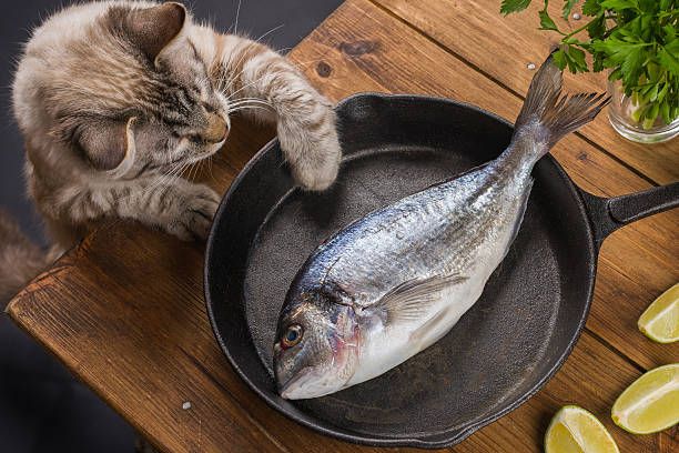 istock Greedy cat stretching on the table to steal the fish 466696938