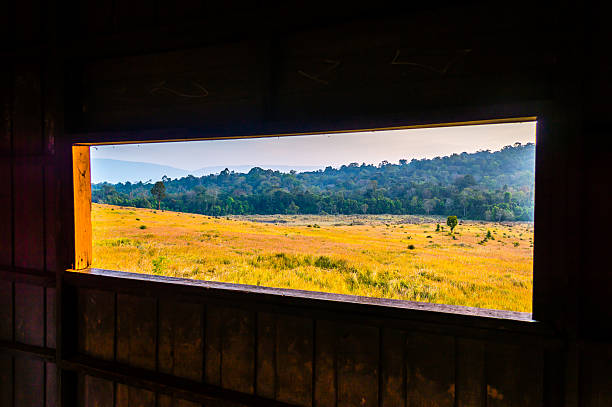 istock View at Kaoyai National Park, Thailand. 466698523