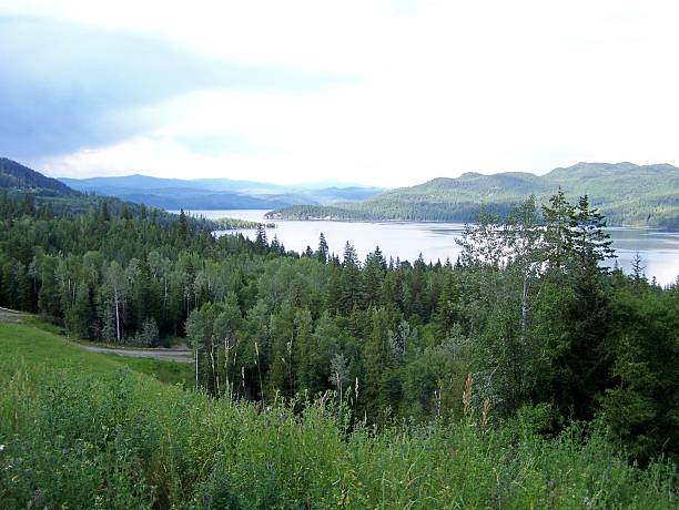 istock Forest and lake scenic 466699527