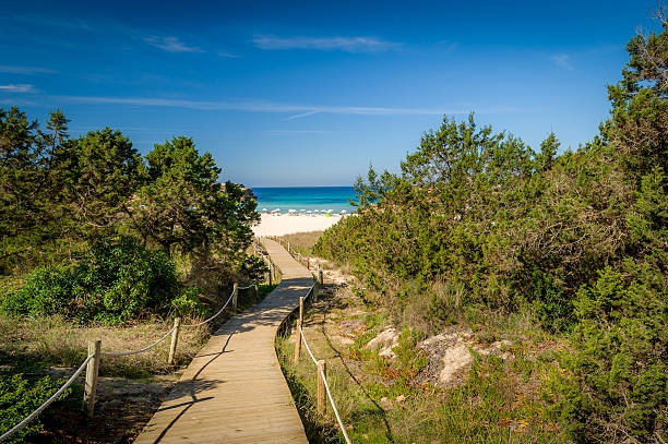 istock Path to the sea and sand beach 466701142