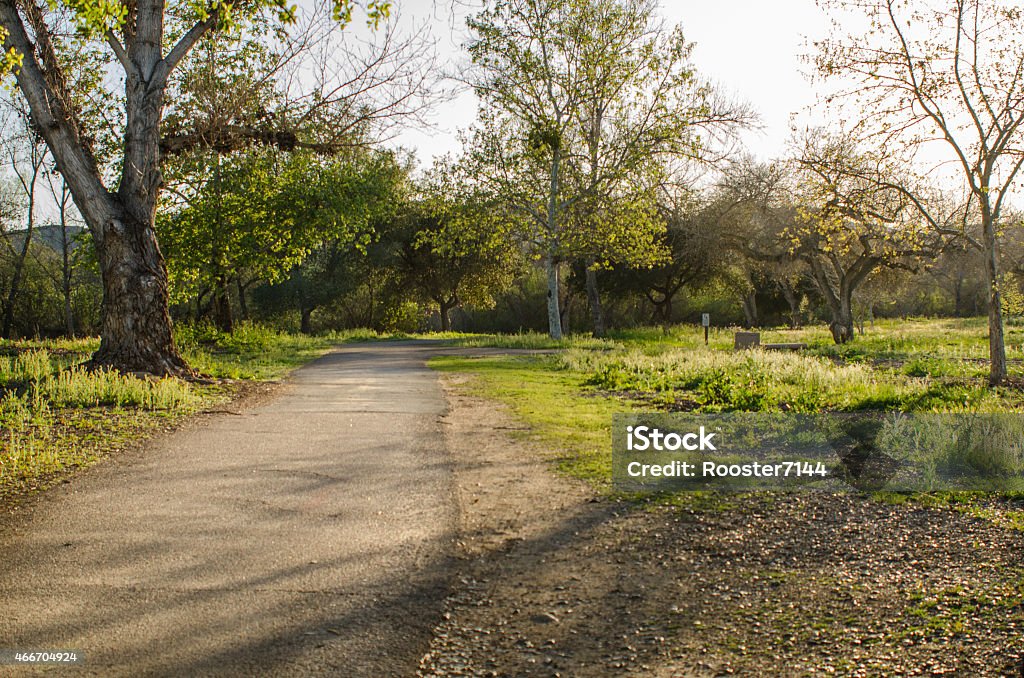 Paved Trail with Sunlight Passing through Trees Nice trail at Mast Park in Santee, CA 2015 Stock Photo