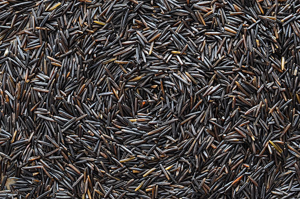 istock Background of wild rice 466709094
