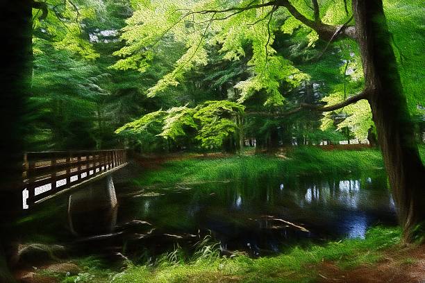 istock Canadian forest, pond, lake, bridge, yellow tone paint effect 466709954