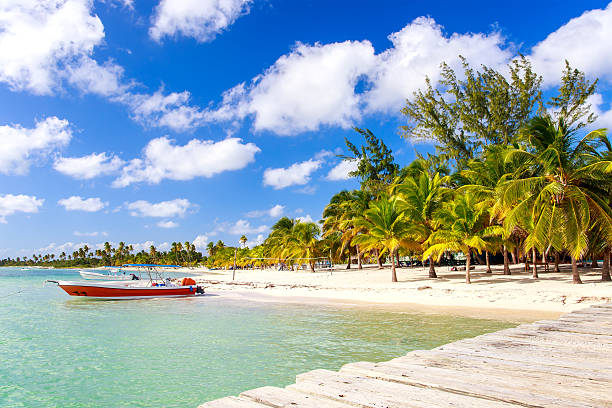 istock Caribbean beach in Dominican Republic 466718934