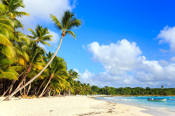 istock Caribbean beach in Dominican Republic 466719022