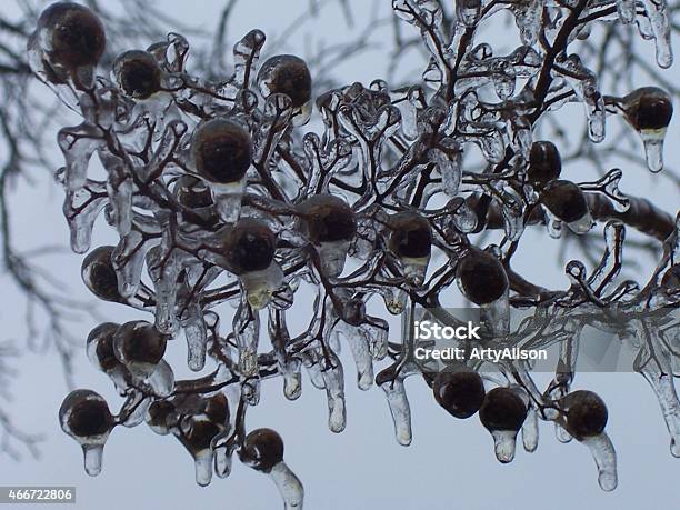 Ice Storm Stock Photo - Download Image Now - 2015, Cold Temperature, Frozen