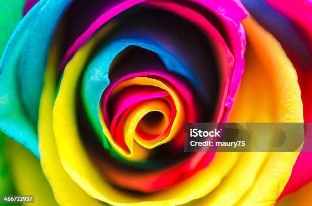 Rainbow Rose Flower Stock Photo - Download Image Now - Rainbow, Rose - Flower, Abstract