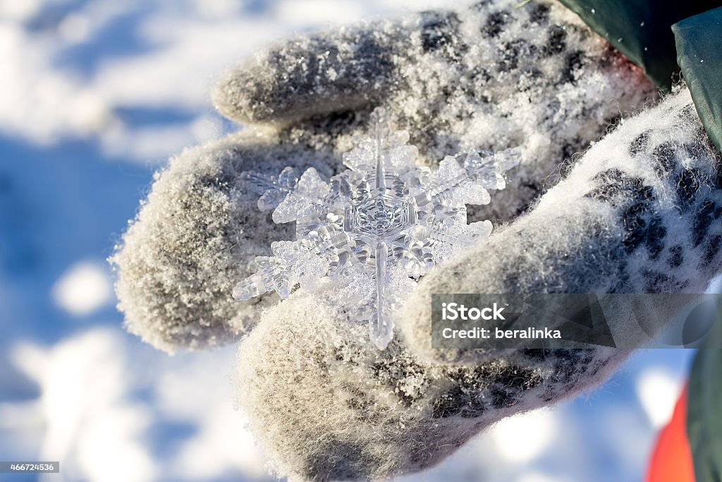 big snowflake in hands on dark mittens on winter background 2015 Stock Photo