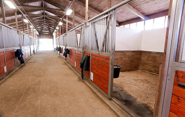 Horse Barn Animal Sport Paddock Equestrian Ranch Racing Stable The center path through a horse barn light at the end of the tunnel horse barn stock pictures, royalty-free photos & images