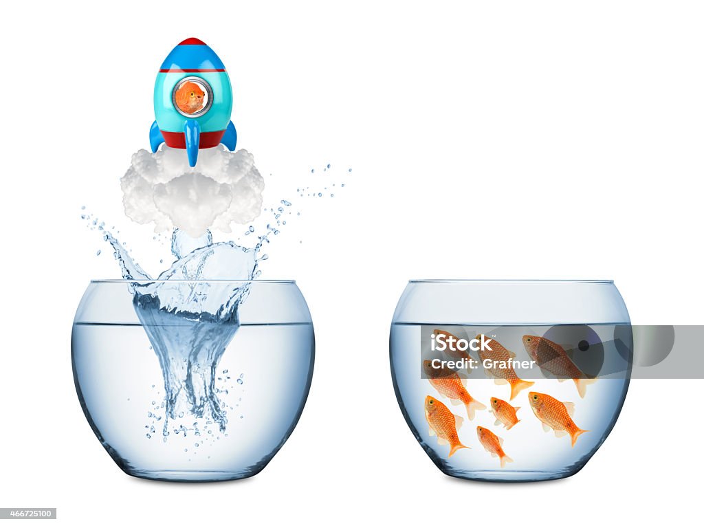 fish rocket concept fish leaving fish bowl with rocket Goldfish Stock Photo