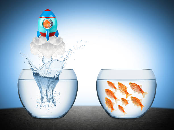 рыба ракета концепция - creativity inspiration humor business стоковые фото и изображения